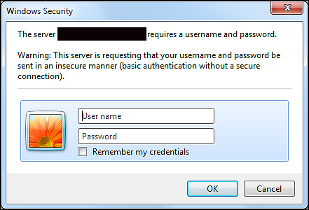 website login dialog with basic realm authentication